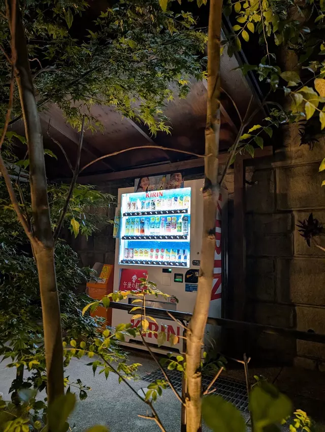 宗整骨院長与分院