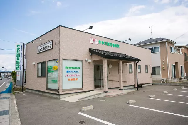 かまた鍼灸整骨院