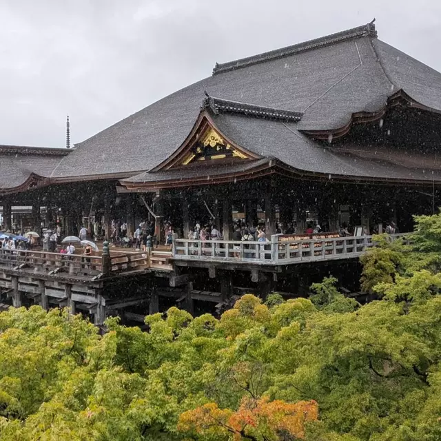 木の子接骨院