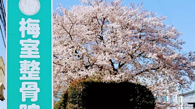 梅室整骨院