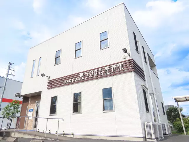 うのはな整骨院