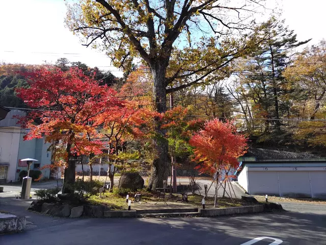 藤野整骨院