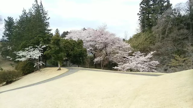 かんざわ接骨院