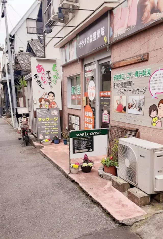谷中けやきの森整骨院