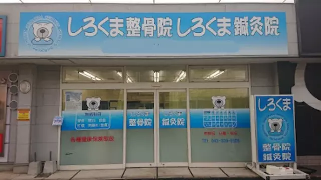 しろくま整骨院鍼灸院