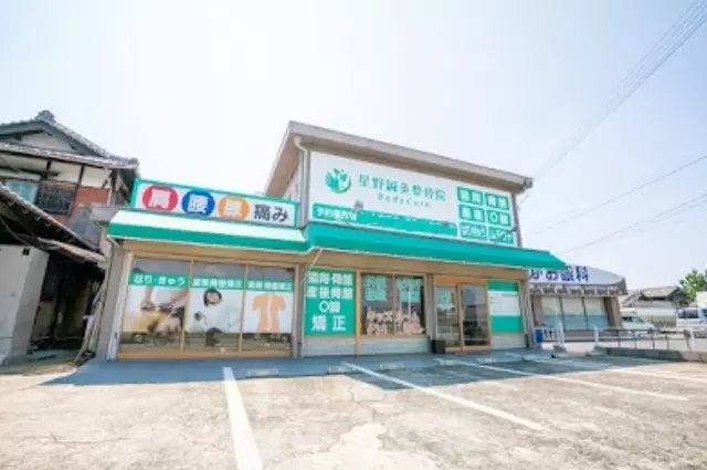 星野BodyCare鍼灸整骨院