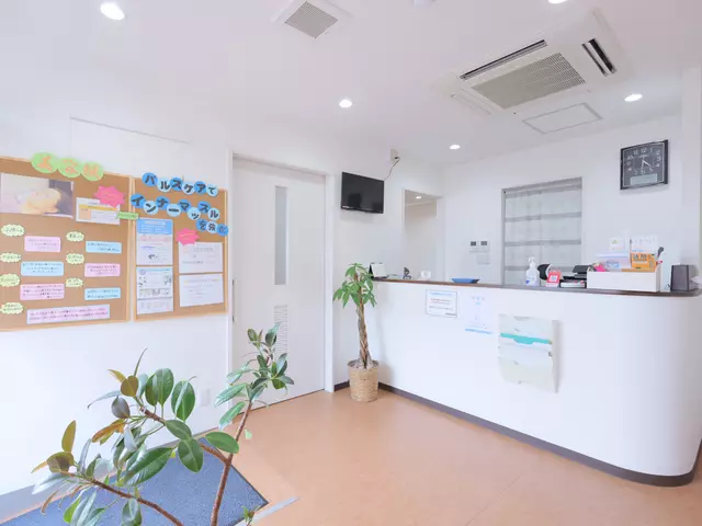 新森鍼灸整骨院