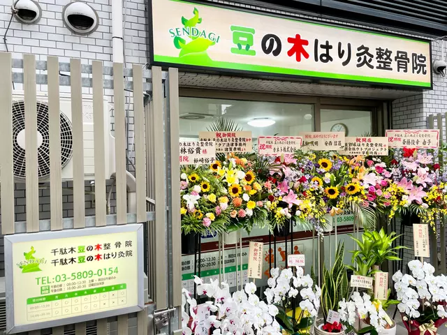 千駄木 豆の木はり灸整骨院