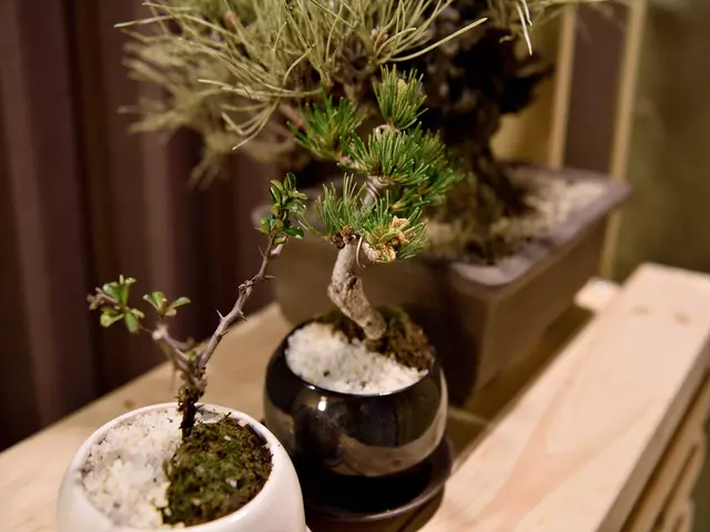 つるのて整骨院