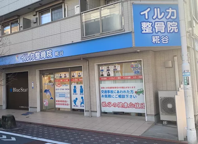イルカ整骨院 糀谷