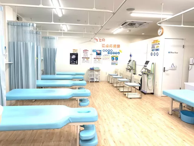 イルカ整骨院 池上