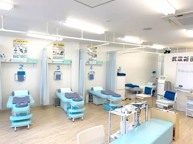 イルカ整骨院 武蔵新田