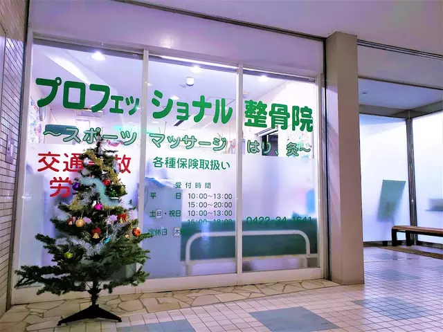 プロフェッショナル整骨院