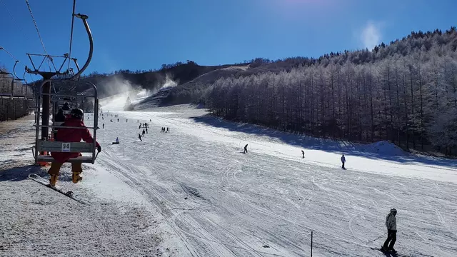 やまだ柔整接骨院