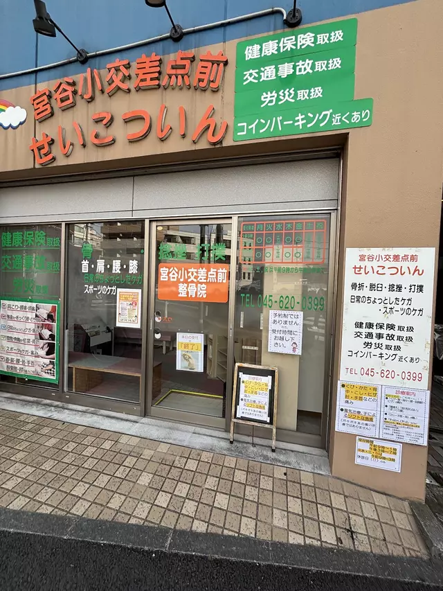 宮谷小交差点前せいこついん