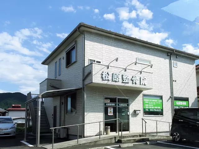 松原整骨院