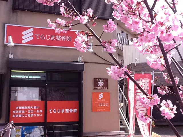 てらじま整骨院