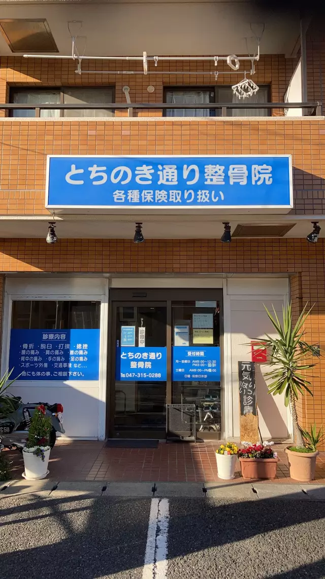 とちのき通り整骨院