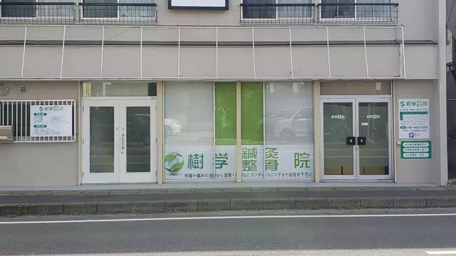 樹学鍼灸整骨院