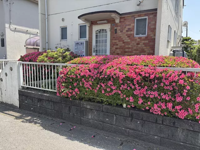 小山整骨院