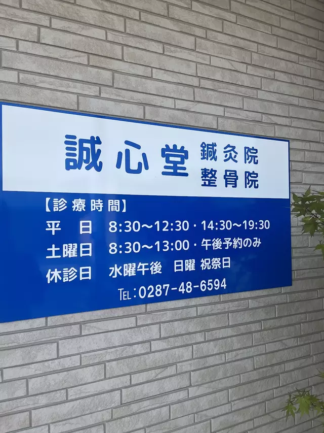 誠心堂鍼灸整骨院