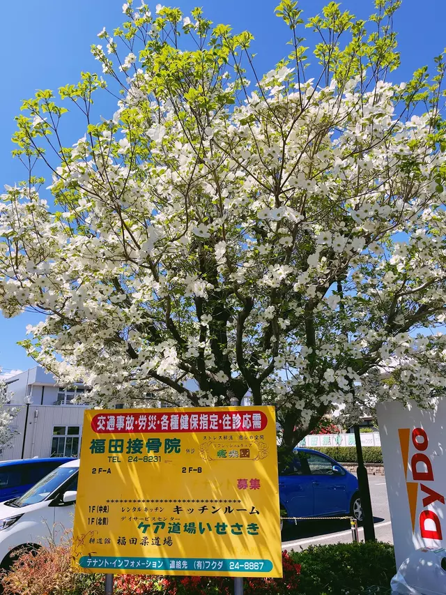 福田接骨院