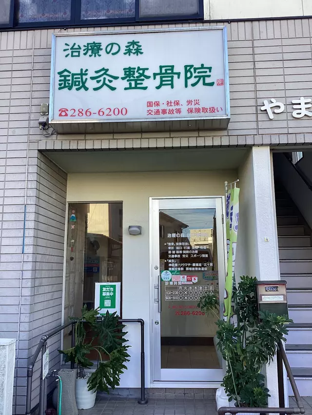 治療の森 鍼灸整骨院