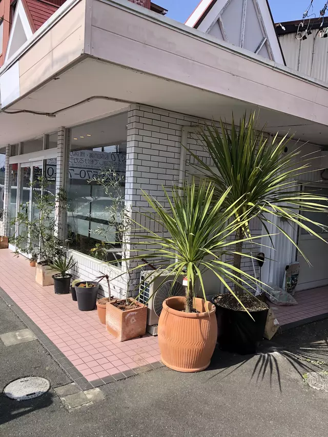 交通事故治療sio整骨院