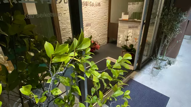 浜松整骨院