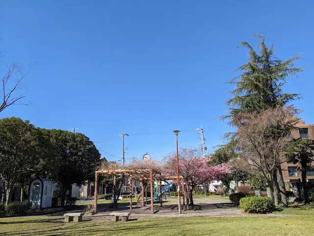 桐山鍼灸整骨院