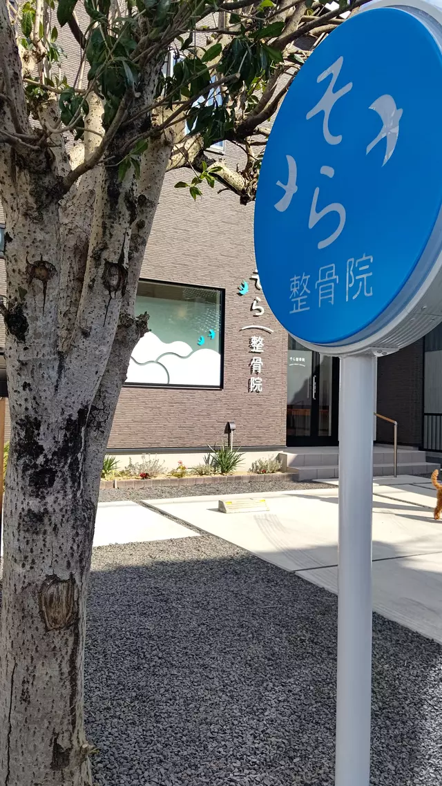 そら整骨院