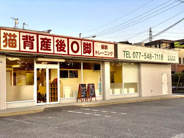 せたがわ鍼灸接骨院