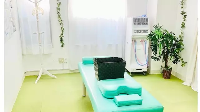 真法院鍼灸整骨院
