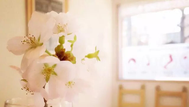 鍼灸整骨院さくら