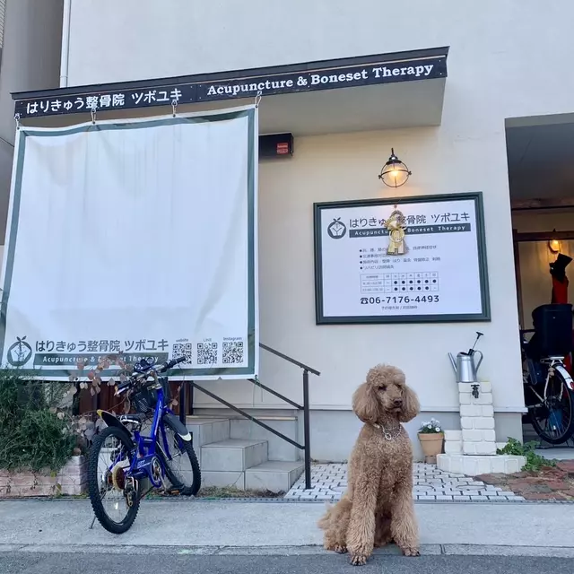 はりきゅう整骨院 ツボユキ