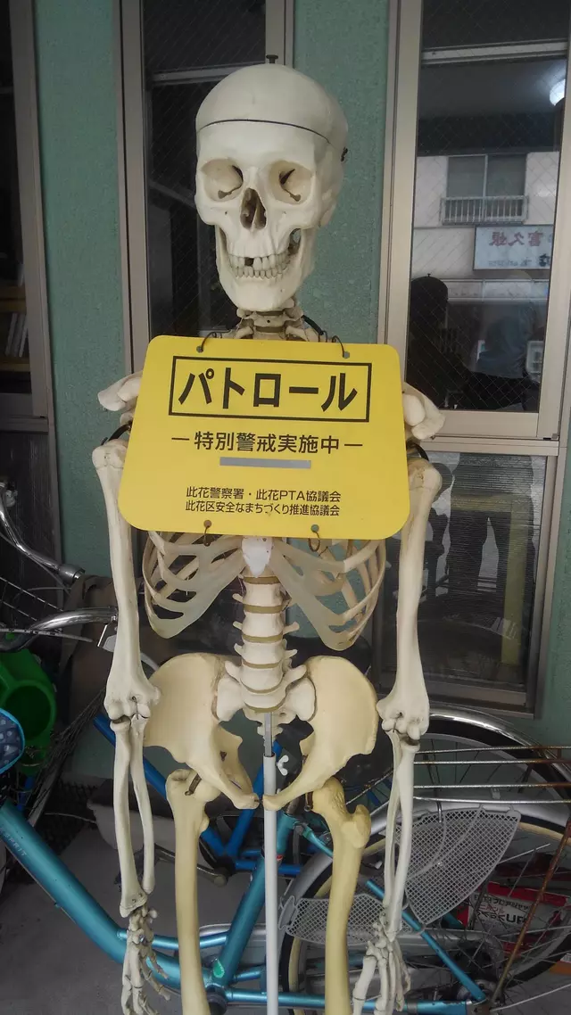 整骨院田川