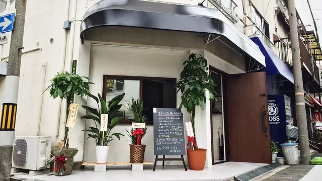 整骨院 plant