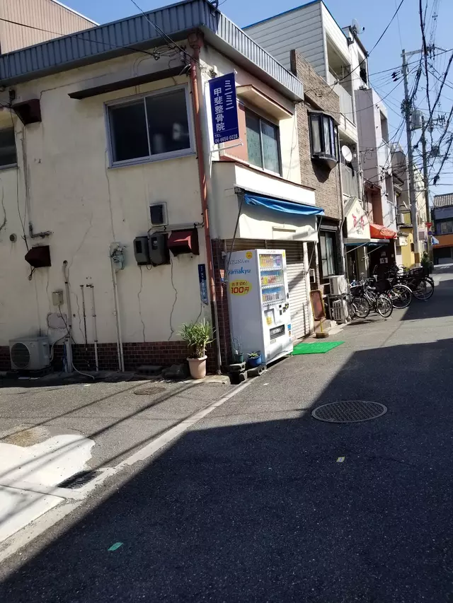 甲斐整骨院 ミニミニ