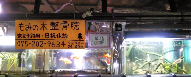 もみの木整骨院