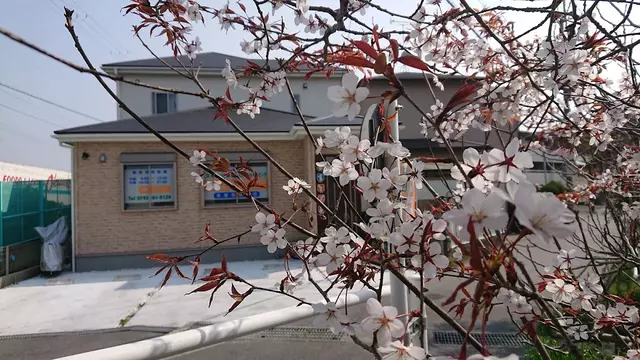 森田整骨院