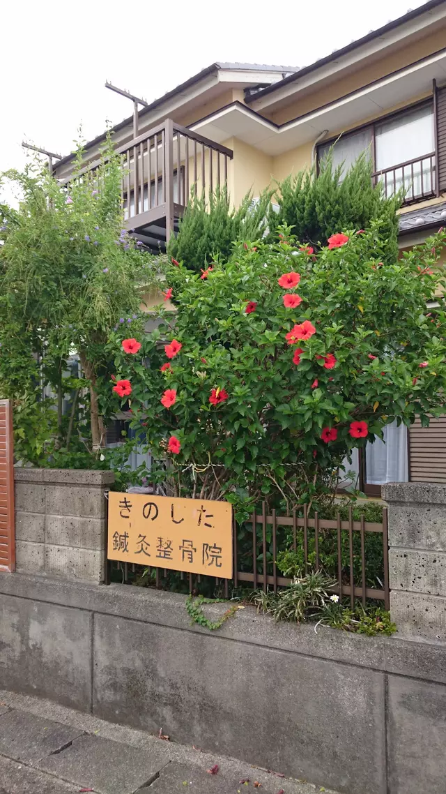 きのした鍼灸整骨院