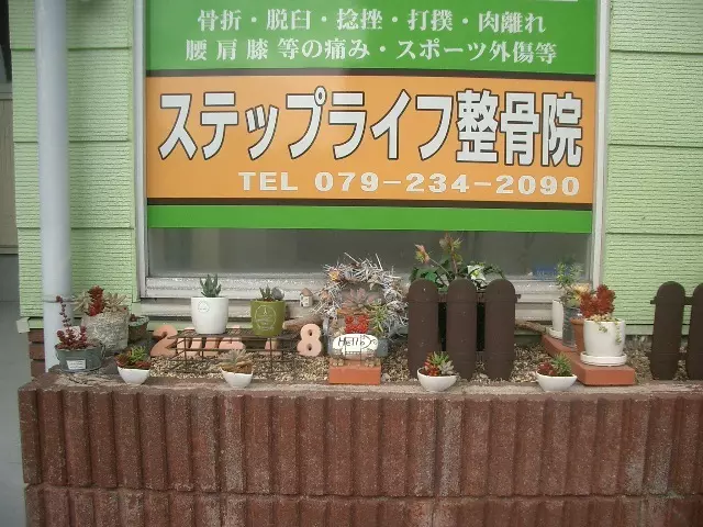 ステップライフ整骨院