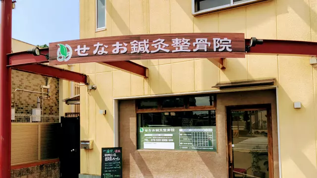 せなお鍼灸整骨院