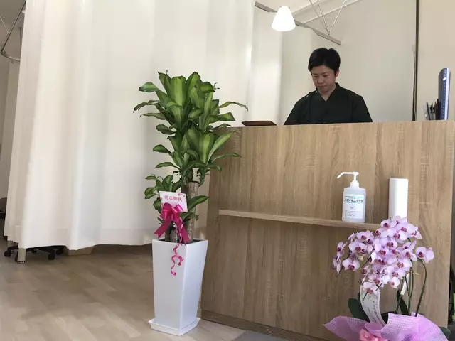 やまね鍼灸整骨院
