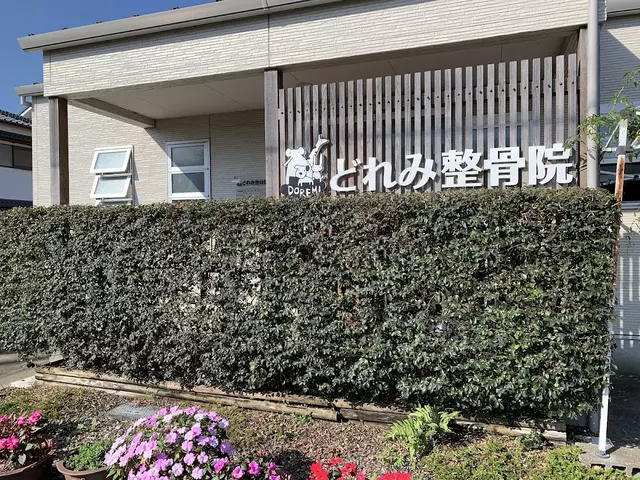 どれみ整骨院