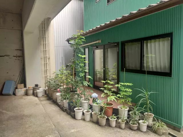 高知市整骨院