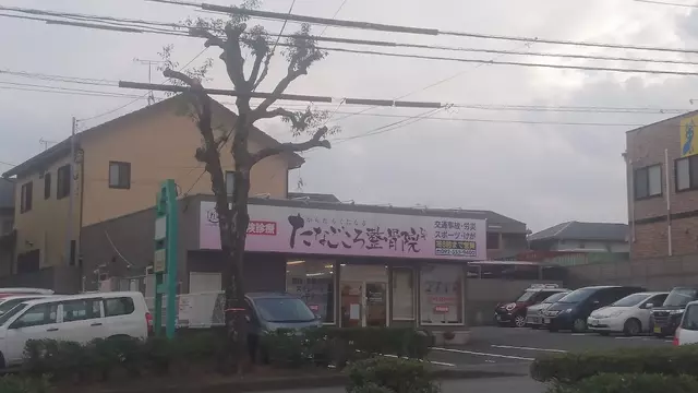 たなごころ整骨院