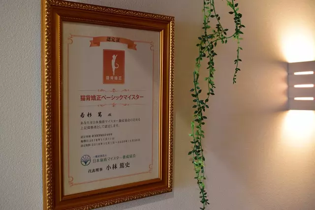 わかすぎ鍼灸整骨院