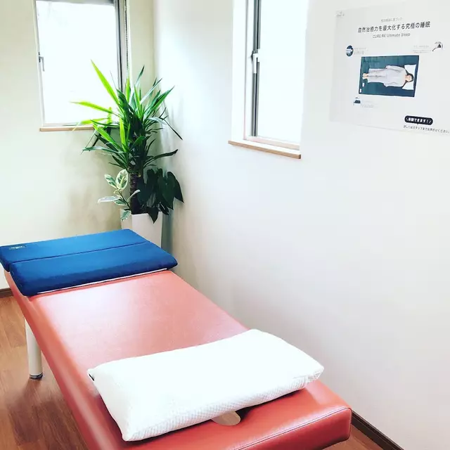 鍼灸整骨院Link