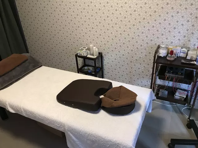 ハリース鍼灸整骨院